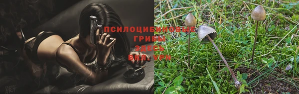 гидропоника Баксан