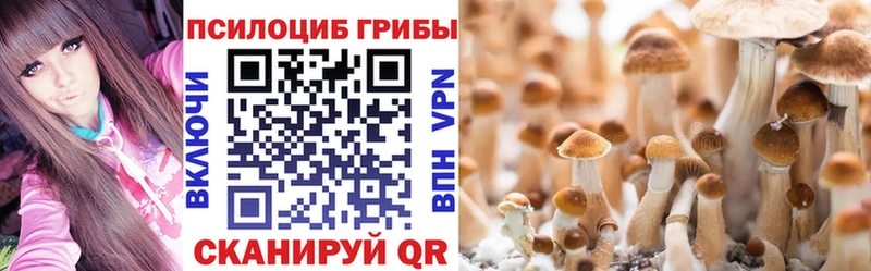 Псилоцибиновые грибы Cubensis  Красноармейск 